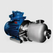 Пищевой насос центробежный ОНЦс 12.5/50К5-7.5/2
